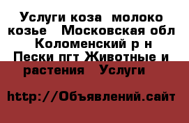 Услуги коза, молоко козье - Московская обл., Коломенский р-н, Пески пгт Животные и растения » Услуги   